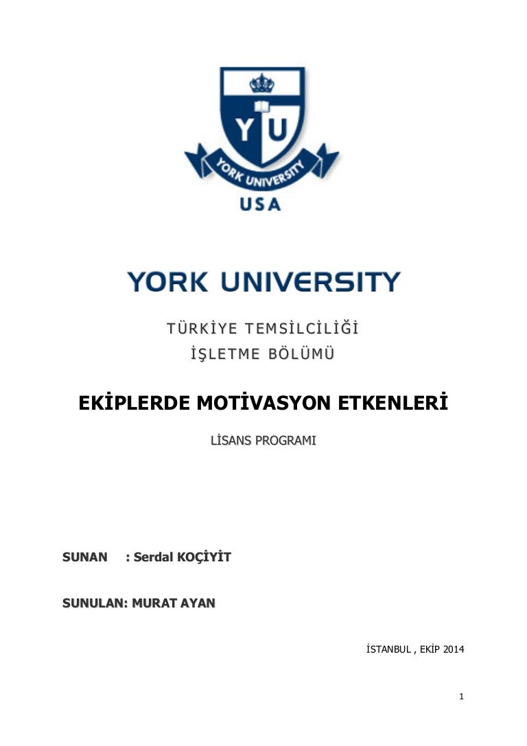 Kişinin motivasyon alanı Kişinin motivasyon alanı